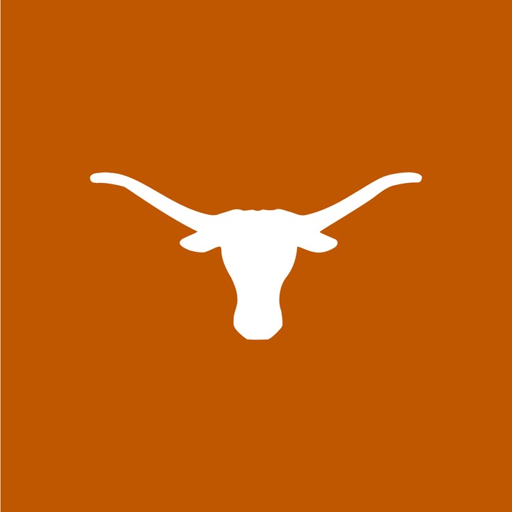 University of Texas