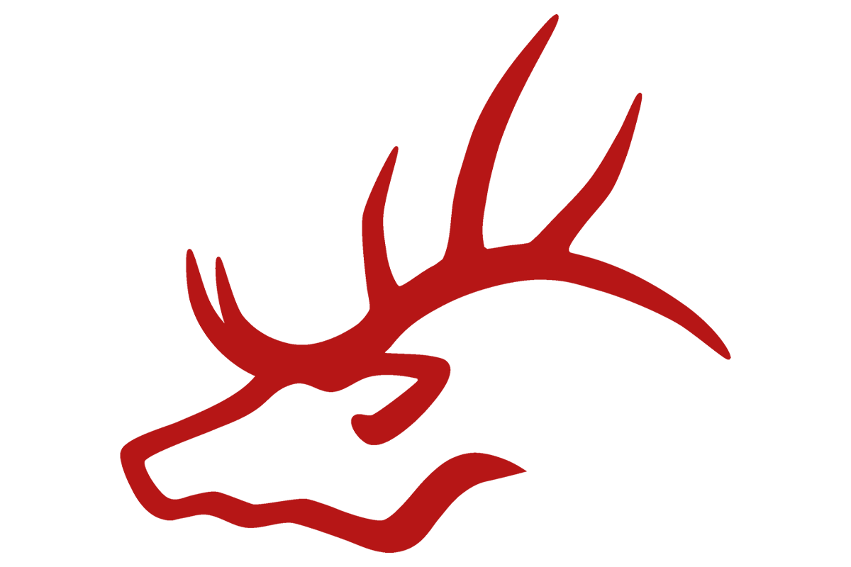 Burleson High School