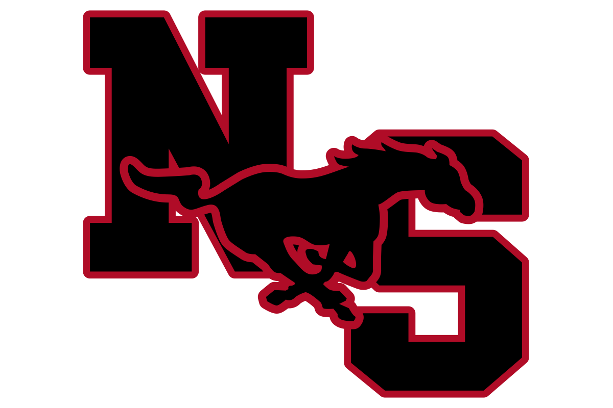 North Shore High School